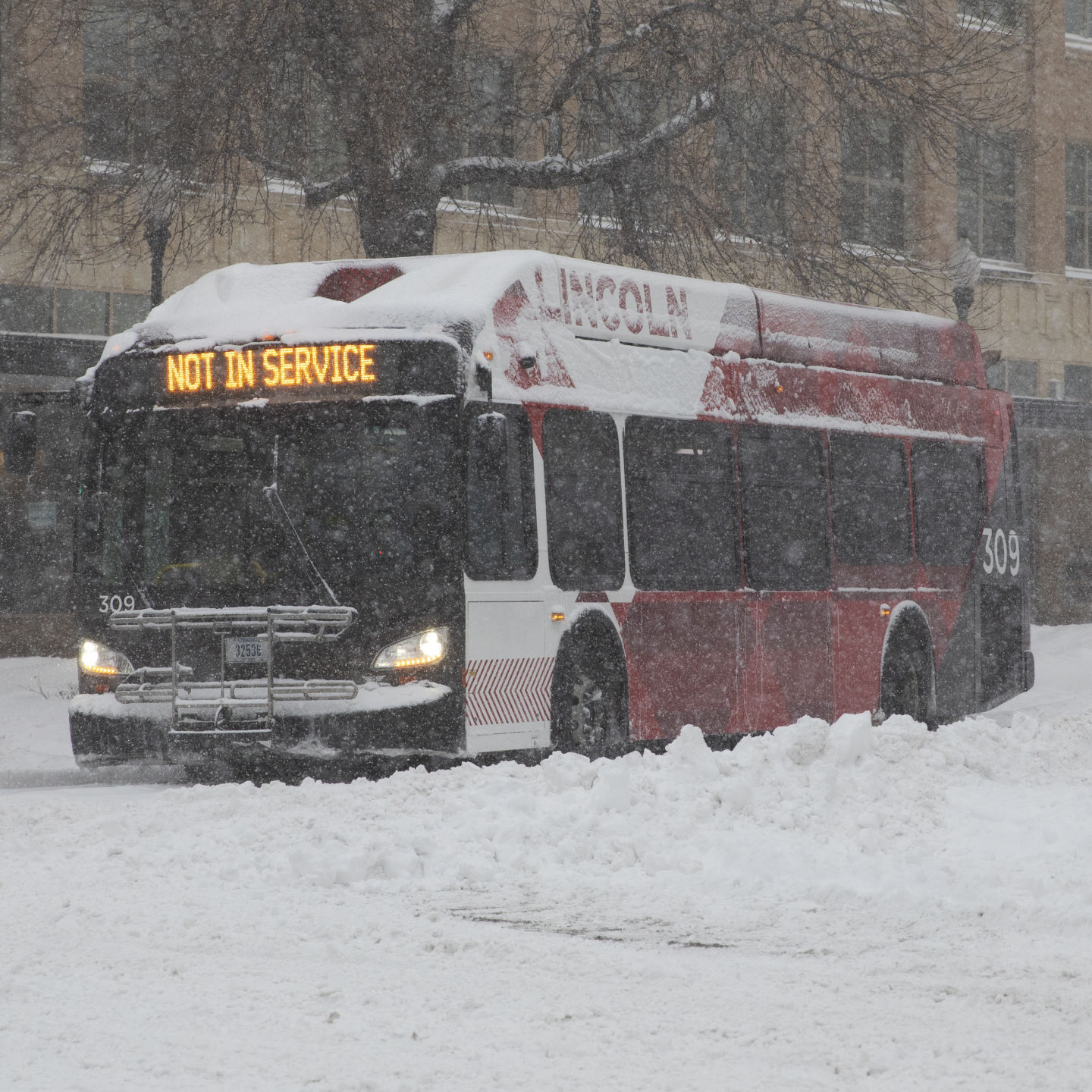Winter Storm 1.25